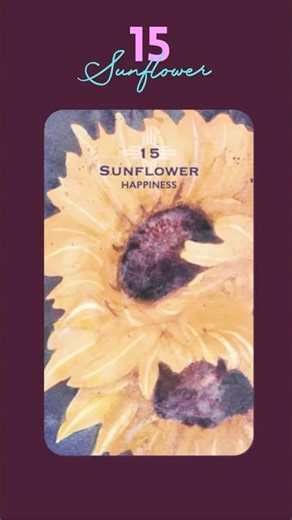 “enough with the sad playlists” this oracle card says #oraclecardreading #desertlife #natureartist