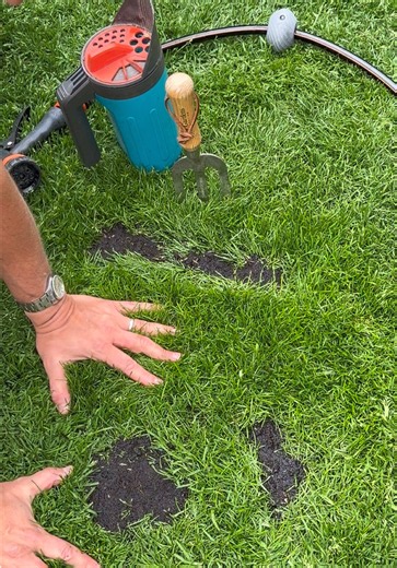Lawn Patch Repair & Spring Lawn Care Tips