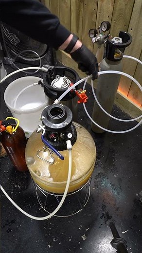 Closed Transfer to Corny Keg #homebrewing #kegging #closedtransfer