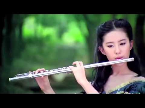 Johann Pachelbel - Canon in D - Flute