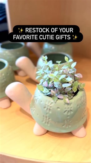 🍒The Cherry Blossom Boutique 🍒 on Instagram: "🍒✨RESTOCK ALERT: we received a shipment of your favorite cutie gifts just in time for Galentine’s/ Valentine’s Day! These sweet elephant and turtle planters are best sellers and are a super cute gift - perfect for a desk or nightstand. Paired with our pixie plants, these sweet planters are sure to put a smile on your friend’s face! Our popular hot pink pruning shears are back too! 💗 🍒⭐️ As always, we can’t wait to see you at our pretty little pl