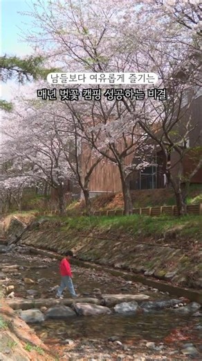 남들보다 여유롭게 벚꽃 피크닉 즐기는 방법 #국립자연휴양림#아이와함께 #벚꽃캠핑