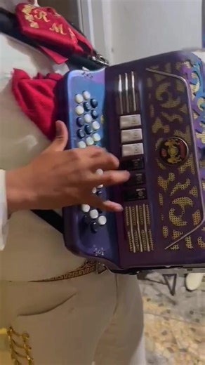 71K views · 1.6K reactions | El palomito en la quintupleenesima versión 鸞 Ensayando técnicas variadas en el acordeón Saludos amigos #acordeon #cadetes #mariachi #Norteño #elpalomito | Antonio Cortés Acordeón | Facebook