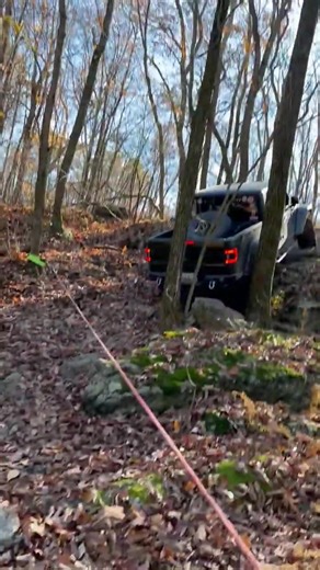 Winching Gladiators: A Tree Rescue Operation