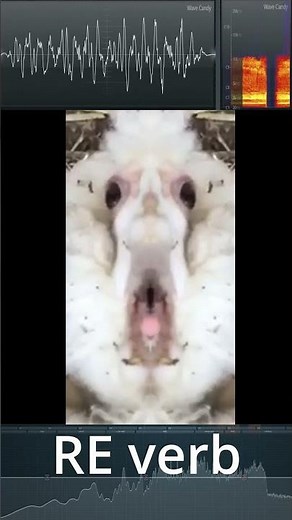 Screaming goat meme sound effects in reverse reverb pitch