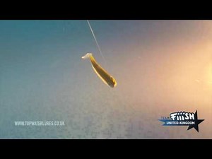 Fiiish Black Minnow Action