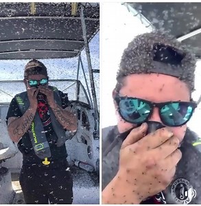 1.8M views · 3.1K reactions | Just a relaxing day of fishing for Sergio E. Ferreira on Lake Ontario.  | Michigan Fishing Nation TV | Facebook