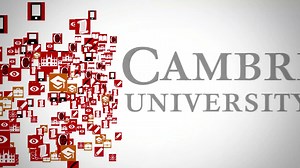 Elements in Construction Grammar: Copilots for Linguists