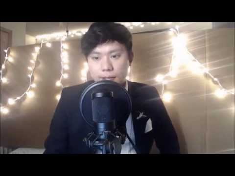 Hmong Cover Ni Zen Me Shou - Teresa Teng
