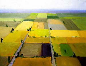 Aerial View Farm Country Art, Farmland Fields Countryside Artwork, Farm Meadows Pasture Landscape, Prairie Grasslands Rural Painting, Print - Etsy