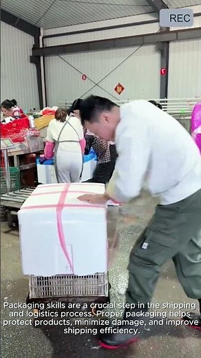 Fast Packing Skills Secure Efficient Pro Packaging Tips #viral #tools #smart #packing
