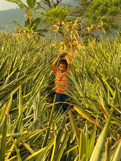 Explore Northern Mindanao's Adventure Destinations