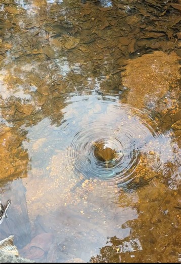 I Followed the Water All Day — Where It Ended Up