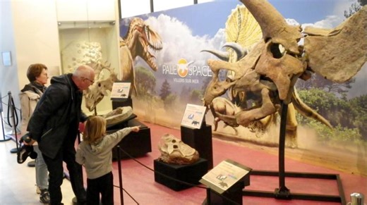 Villers-sur-Mer. Le Paléospace accueille un crâne de tricératops de plus… | Vincent Debrix