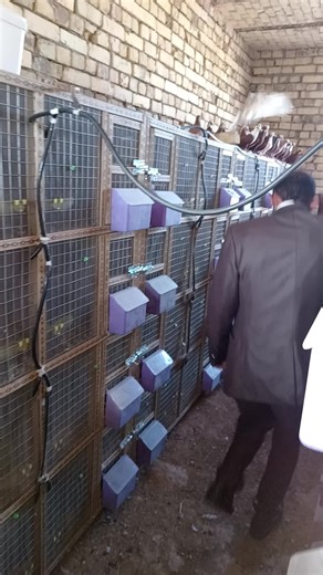 فيديوهات أنشأها حبش الميساني (@id_gd1) باستخدام الصوت الأصلي - القرآن الكريم