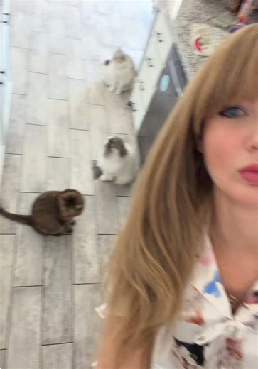 Celebrating Cat Life: Joyful Moments with Cats