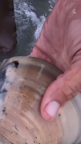 How to find clams in the ocean (exposed)