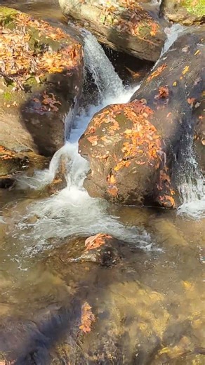 A Waterfalls Chill Session, Autumn Flow & Lofi Vibes #shorts #explore #waterfall #fyp #chillhop
