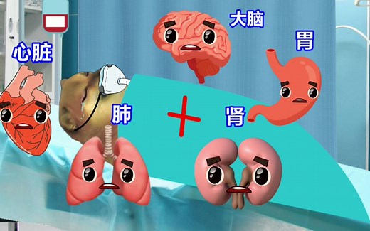 此视频纪念刚刚去世的cheems，感谢它给我们带来的欢乐