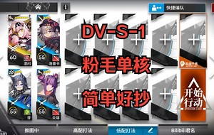 【DV-S-1】粉毛单核 简单好抄