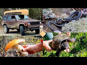 Camping In The Wild. Survival Tips!