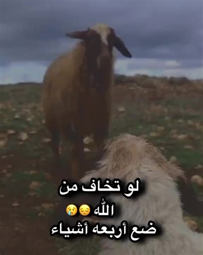أشياء تجذب الزبائن: أفكار بسيطة لكتابة شيء يروج عليه