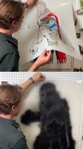 The Essential Tool Every Workbench Should Have