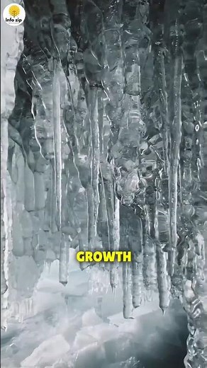 How Nature Designs a Perfect Snowflake ❄️