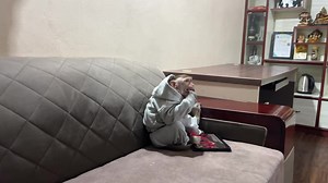 Monkey Interacting with Tablet in Cozy Living Room