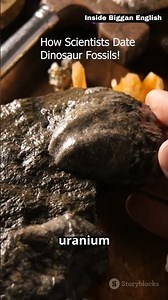 How Do Scientists Know How Old Dinosaurs Are