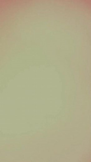 Exploring Stunning Islamic Architecture in Mosques