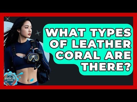 What Types Of Leather Coral Are There? - The Marine Life Explorer