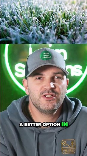 Kentucky Bluegrass vs. Tall Fescue