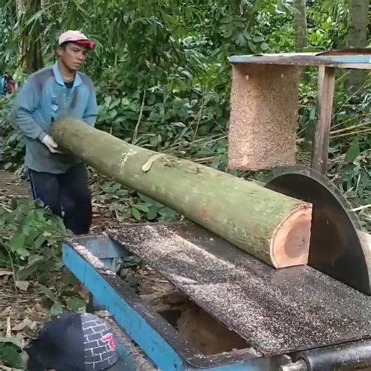 8.3K views · 68 reactions | Daily work with cutting wood by team work | Making Video | Facebook