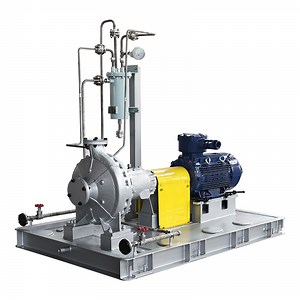 [Hot Item] API 610 Centrifugal Pump Overhung Type Oh1 Rotor Is Supported in The Form of a Cantilever Pump Type
