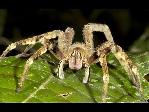 The Most Disturbing Scientific Facts