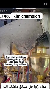 1.2M views · 10K reactions | I ❤️ pigeon racing #pigeonracing #racingpigeon #pigeonfancier #kalapatids #kalapatidsreels #followerseveryone #ilovepigeonracing #lietaer | Glenn Brillante | Facebook