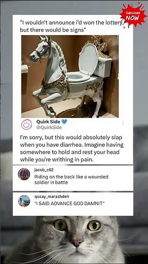 The most confusing meme ever