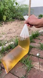 This technique is perfect . . . . #knots #rope #ropes #ropeskills #ropework #ropeworker #knottutorial #knottutorials #ropetutorial #camping #fishing #boating #sailing #climbing #knotsforcamping #knotsforfishing #knotsforclimbing #knotsforbeginners #lifeskills | Knots Master