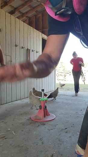 154 reactions · 21 comments | Taking a breather from working and working on stomp dance songs with Hunter Apple and Fran Riehle #jimapplehoofcare #iapffarrier #FarrierLife #stompdance | Jim Apple Apf-i | Facebook