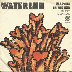 Unknown Artist – Waterloo (1975, Vinyl)