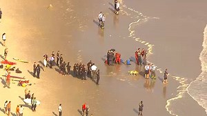 Teen's body washes up in Queens days after teens go missing near Rockaway Beach