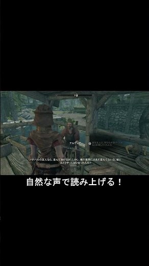 Skyrim DBVO MOD Installation