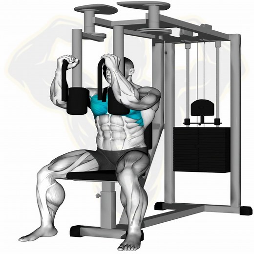 11K views · 439 reactions | #muscleman #workoutmotivation #fit #fitnessmotivation #bodybuilding #reels #gym #fitnesschallenge #fitness #training #workout | Muscle man | Facebook