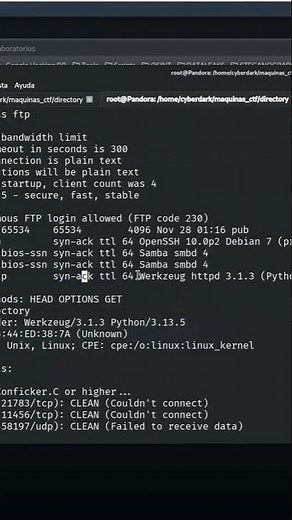 Maquina DIRECTORY – FTP, SMB y Web Hacking | Reverse Shell en Python + SUID Root #python #pentesting