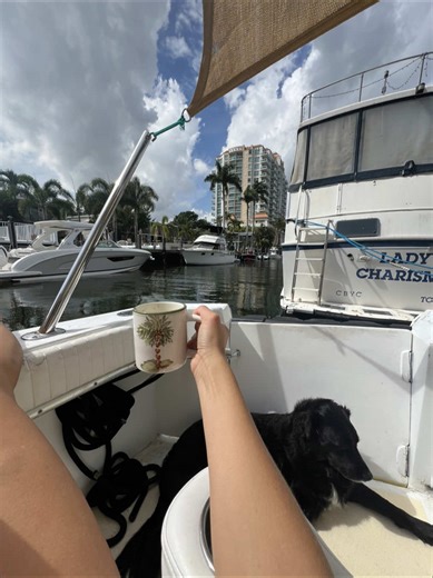 Celebrating Flight Attendant Wins and Legalities