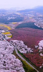 Valle de los cerezos en flor visto desde arriba 🌸🌸🌸 | Mundo Interesante