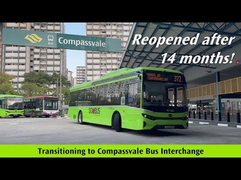 Transitioning to Compassvale Bus Interchange