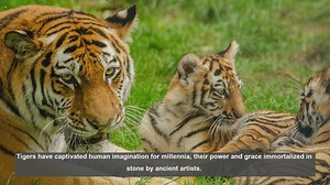 10 Ancient Tiger Rock Carvings: A Global Journey Through Time