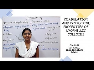 COAGULATION AND PROTECTIVE PROPERTIES OF LYOPHILLIC COLLOIDS|IN TAMIL|CLASS 12|SURFACE CHEMISTRY|